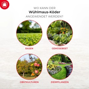Anwendungsbereiche des Protect Home Wühlmaus-Köder: Rasen, Gemüsebeet, Obstkulturen und Zierpflanzen.