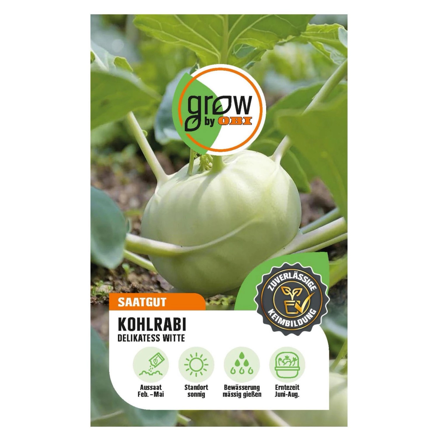 GROW by OBI Kohlrabi Delikatess Witte