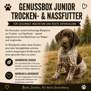 Wildfang Genussbox Junior Trocken- & Nassfutter Lachs & Rind