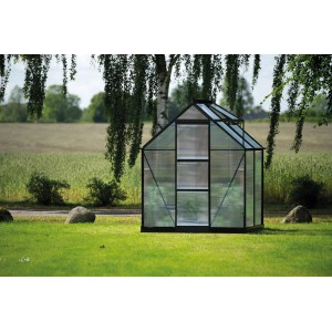 Schwarzes Halls Gewächshaus Icon 6 mit transparenten Polycarbonatplatten im grünen Garten. Mit Dachfenster.