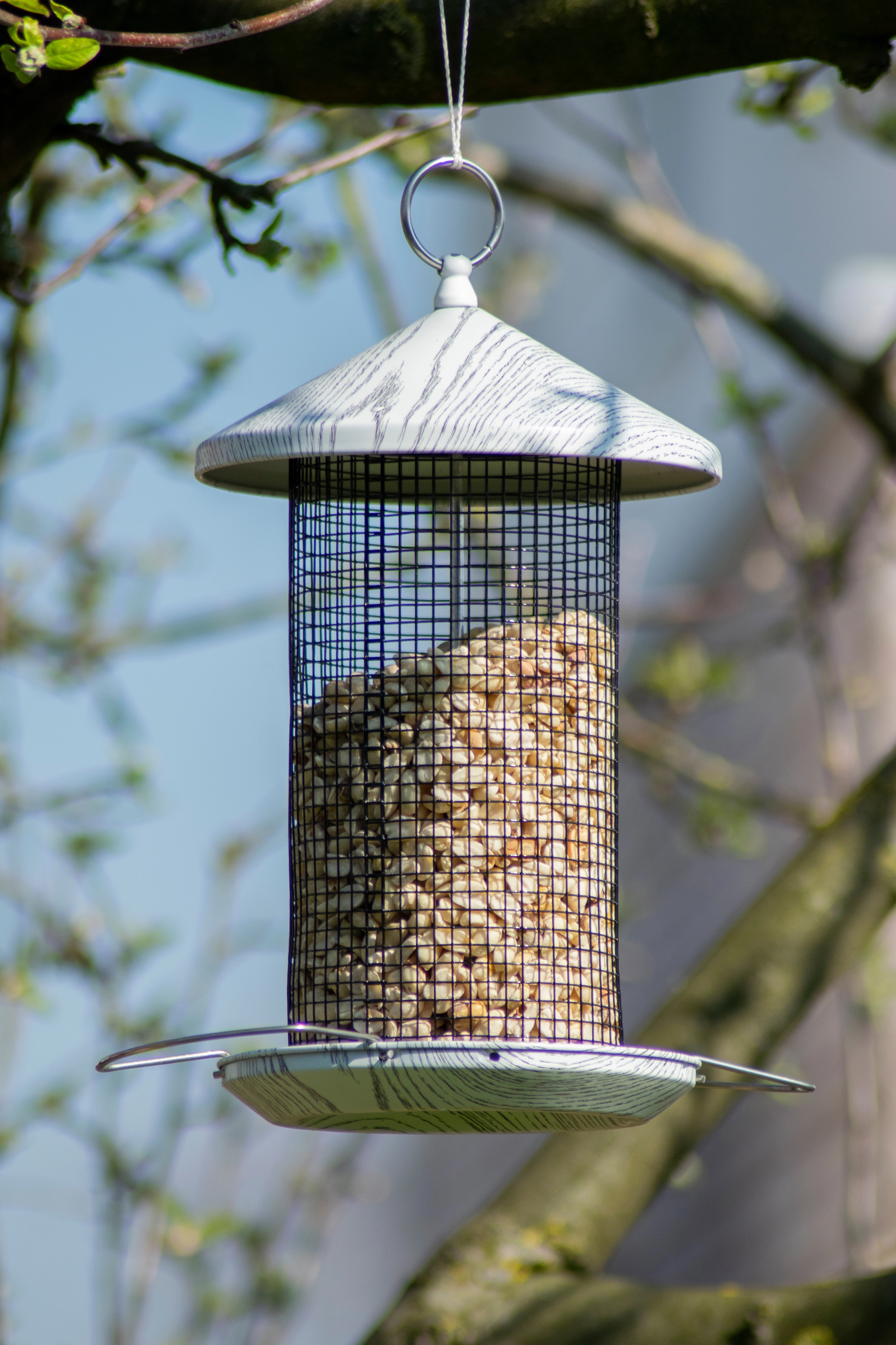 Futterstation für Wildvögel - Futterspender ideal für Garten