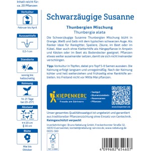 Kiepenkerl Saatgut Schwarzäugige Susanne Thunbergien Mischung