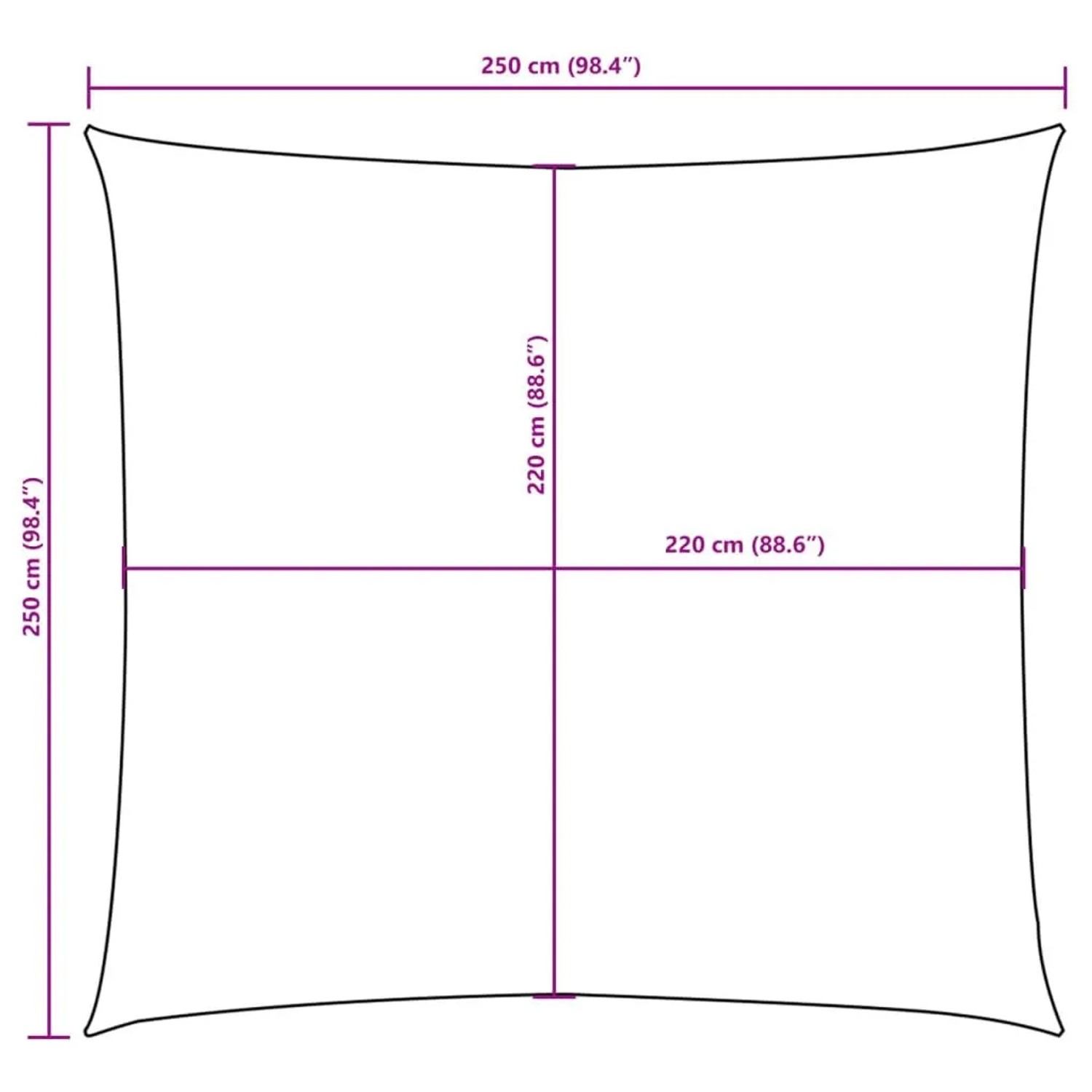 Quadratisches Sonnensegel 2,5x2,5 m: Maßzeichnung mit 250 cm Außen- und 220 cm Innenmaßen.