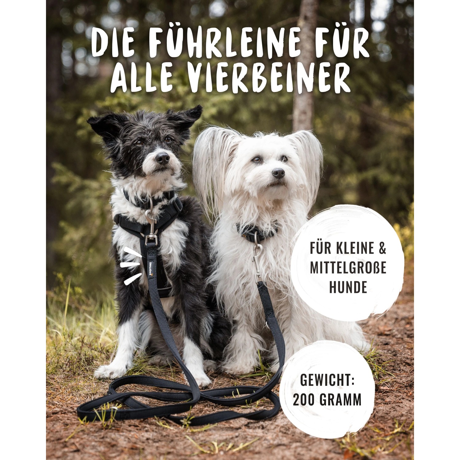 Schwarze Rudelkönig Hundeleine Bella Führleine mit zwei Hunden im Wald.