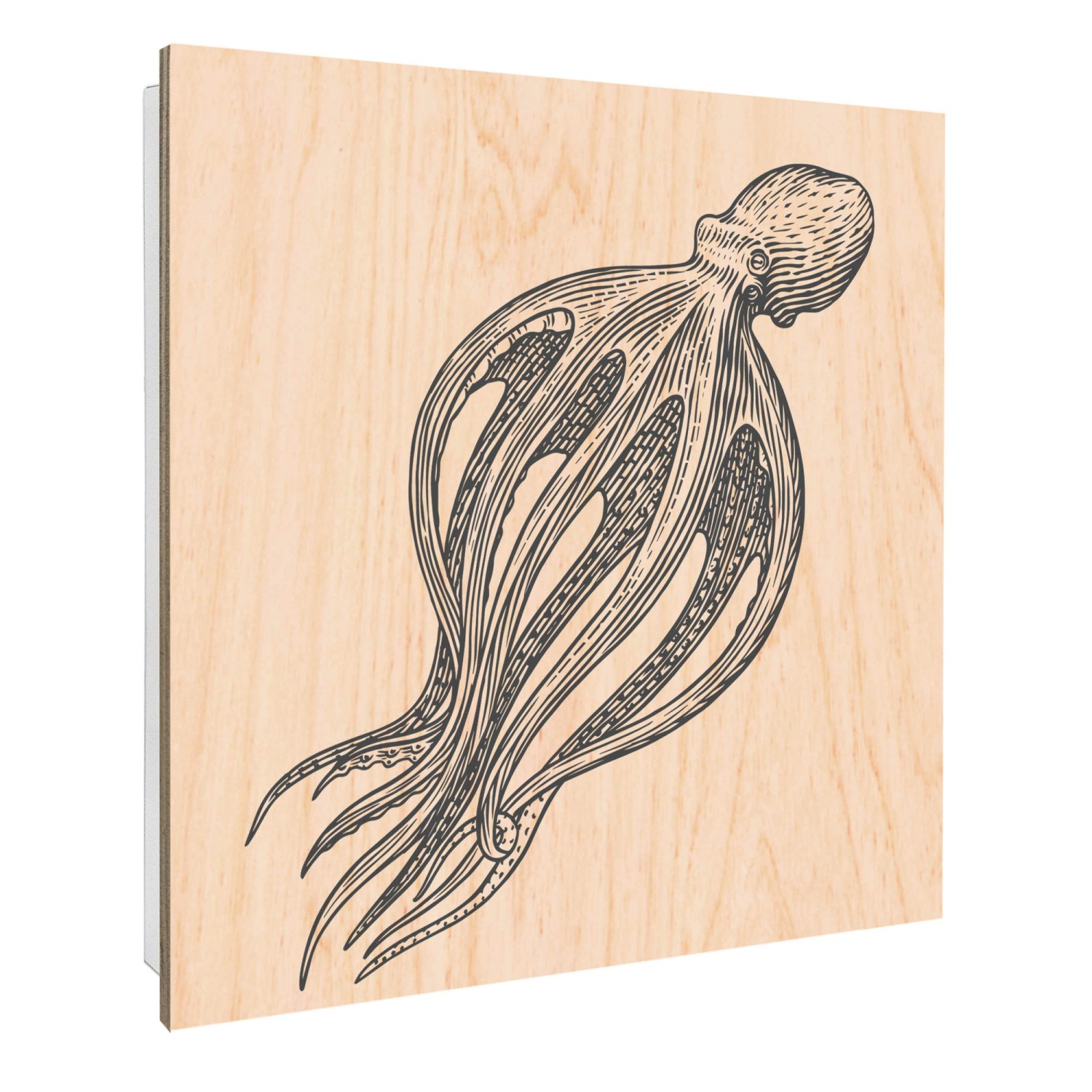 Banjado Schlüsselkasten mit Holzfront 30x30cm Weiß Scharnier Links 50 Haken günstig online kaufen