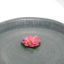 Schwimmende, pinke Seerose (Ø 15 cm) als Gartendeko in einer Wasserschale.