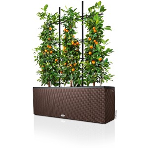Lechuza Trio 40 Rankgitter für Pflanzgefäße, mit Pflanzen.