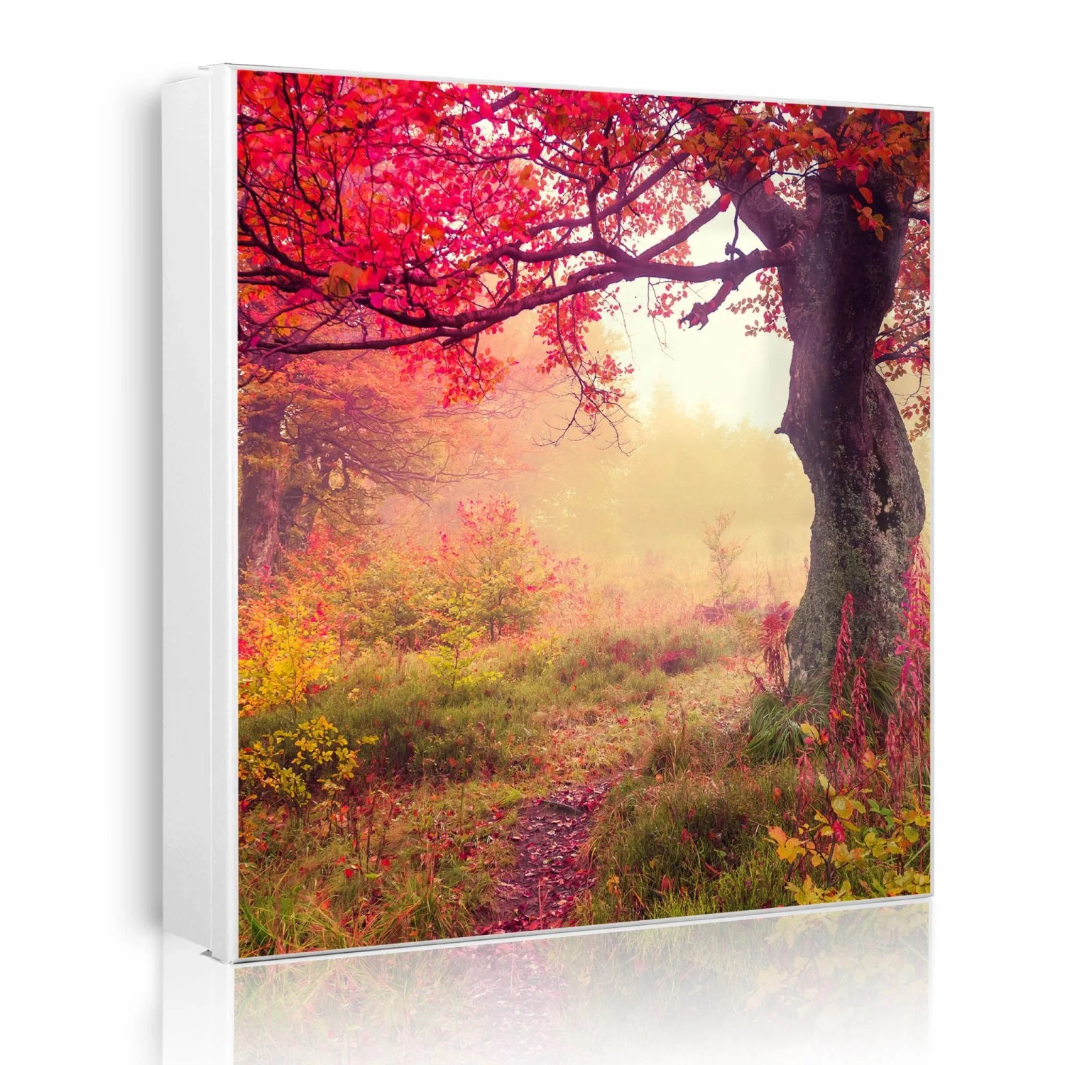Banjado Großer Schlüsselkasten Metall 30x30cm Weiß Scharnier Links 50 Haken Beschreibbar Magnetisch Motiv Lichtung Im Herbst