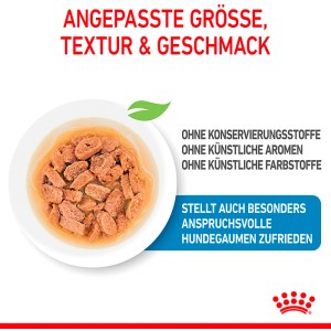 Royal Canin Mini Puppy Nassfutter im Teller, geeignet für kleine Hunde-Welpen bis 10 kg.