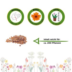 Steinkraut Goldkörbchen Samen: Aussaat, Blüte, Höhe und Inhalt für ca. 200 Pflanzen.