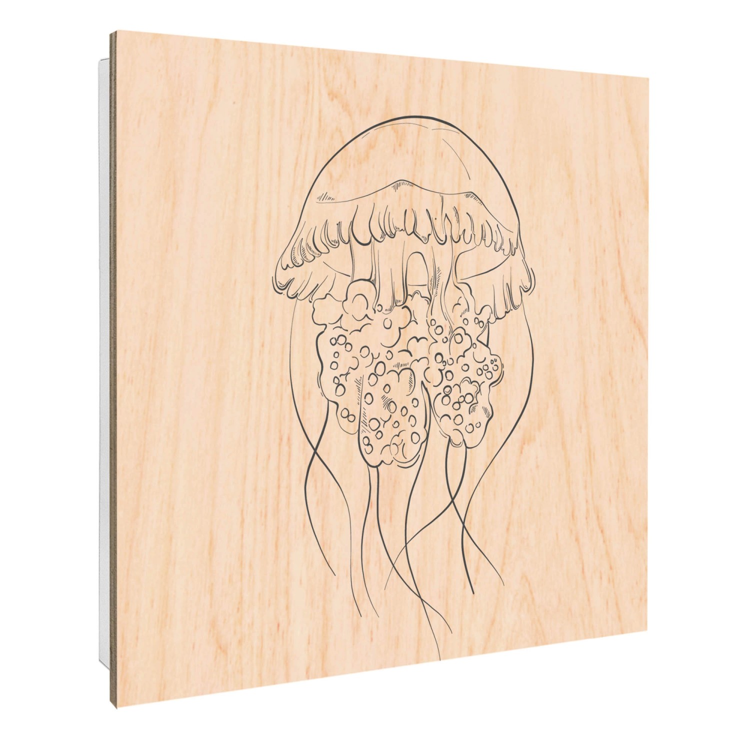 Banjado Großer Schlüsselbox Holz 30x30cm Weiß Scharnier Rechts 50 Haken Sch günstig online kaufen