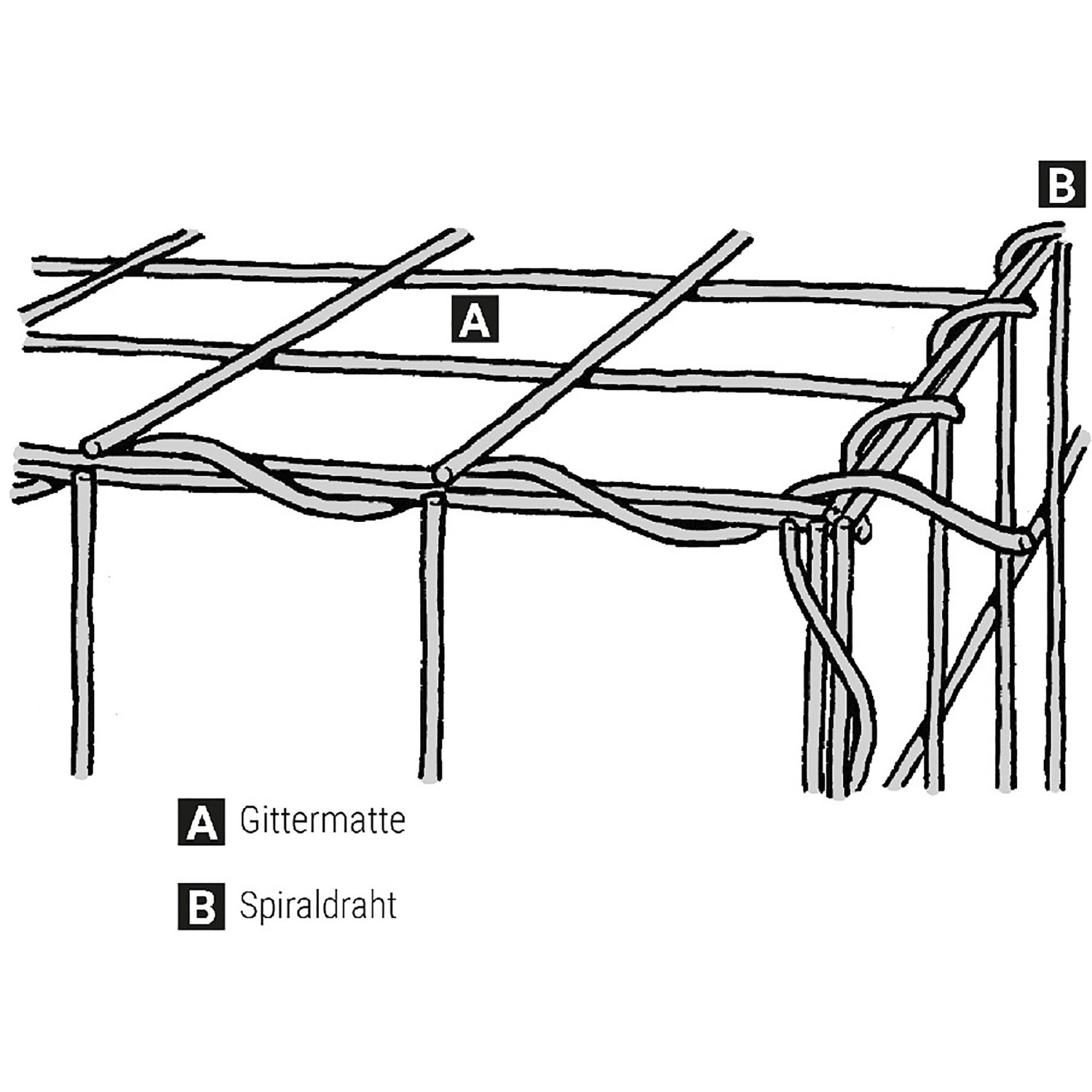 Illustration einer Scherf Spiral-Gabione mit Gittermatte (A) und Spiraldraht (B).