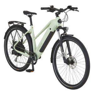 Prophete E-Bike ATB Stack 2.9 Damen, salbeigrün matt, 29 Zoll. E-Mountainbike mit Gepäckträger und Federgabel.