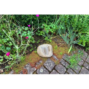 Kobolo Dekostein BUTTERFLY aus Naturstein im Garten, Zierstein mit Schmetterlingsgravur.