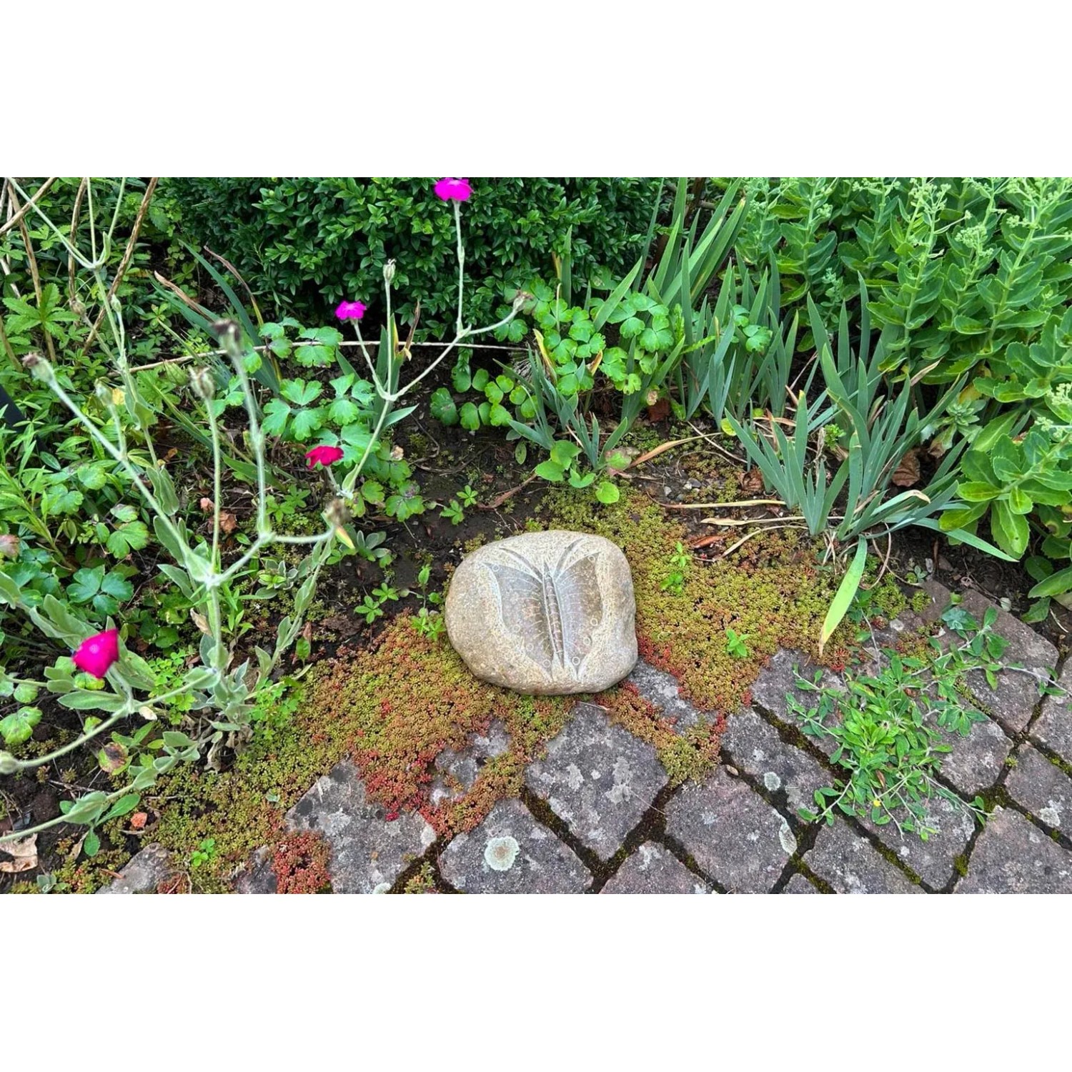 Kobolo Dekostein BUTTERFLY aus Naturstein im Garten, Zierstein mit Schmetterlingsgravur.