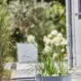 Heissner Solar-Wassergarten Aquatopia mit Bepflanzung als Teichdeko für Garten und Balkon.