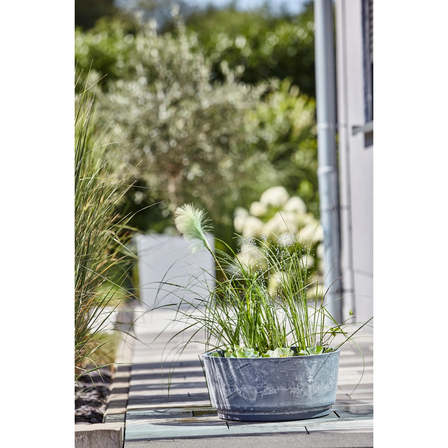Heissner Solar-Wassergarten Aquatopia mit Bepflanzung als Teichdeko für Garten und Balkon.