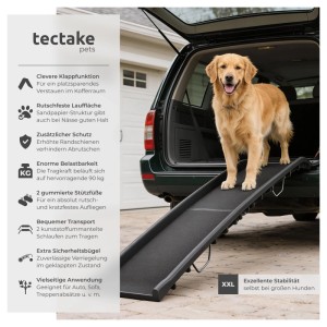 Tectake Hunderampe, klappbar, mit rutschfester Oberfläche. Hund auf Rampe vor Kofferraum.