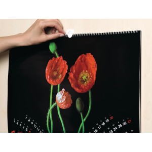 Tesa Powerstrips Bildernagel zum Aufhängen eines Kalenders mit rotem Mohnblumen-Motiv.
