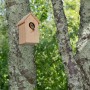 Nistkasten aus hellem Kiefernholz am Baum, mit kleinem Vogel im Einflugloch. Ideal für Wildvögel im Garten.