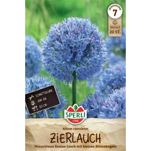 Sperli Zierlauch Allium caeruleum, himmelblaue Blütenkugel auf der Verpackung.