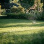 Fiskars Comfort S-M oszillierender Regner bewässert Rasenfläche im Garten.