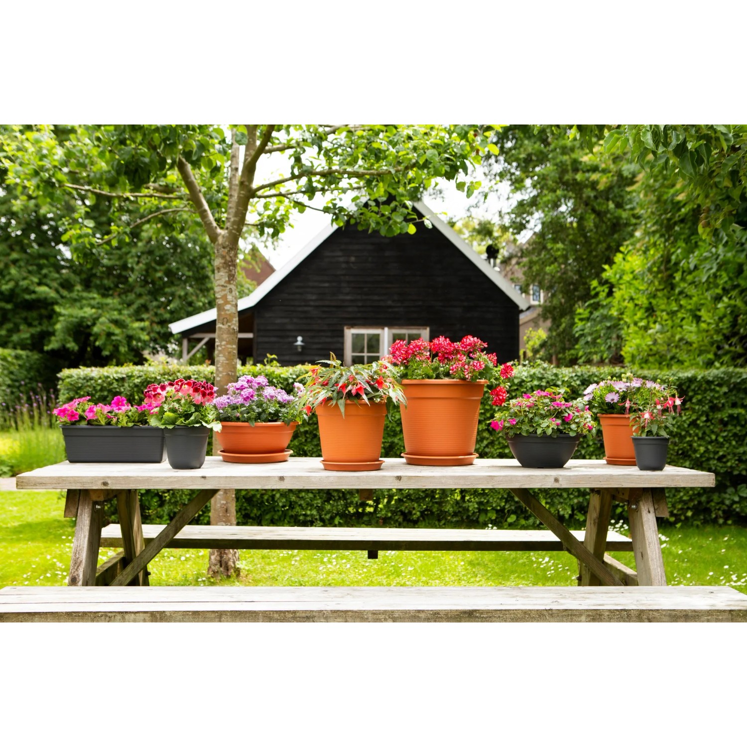 Verschiedene bepflanzte Blumenkästen und -töpfe (Florus) auf einem Tisch im Garten.