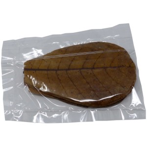 Proflora Terminalia Catappa Blätter (30 Stk.) im Beutel. Seemandelbaumblätter zur Wasserwertkorrektur im Aquarium.