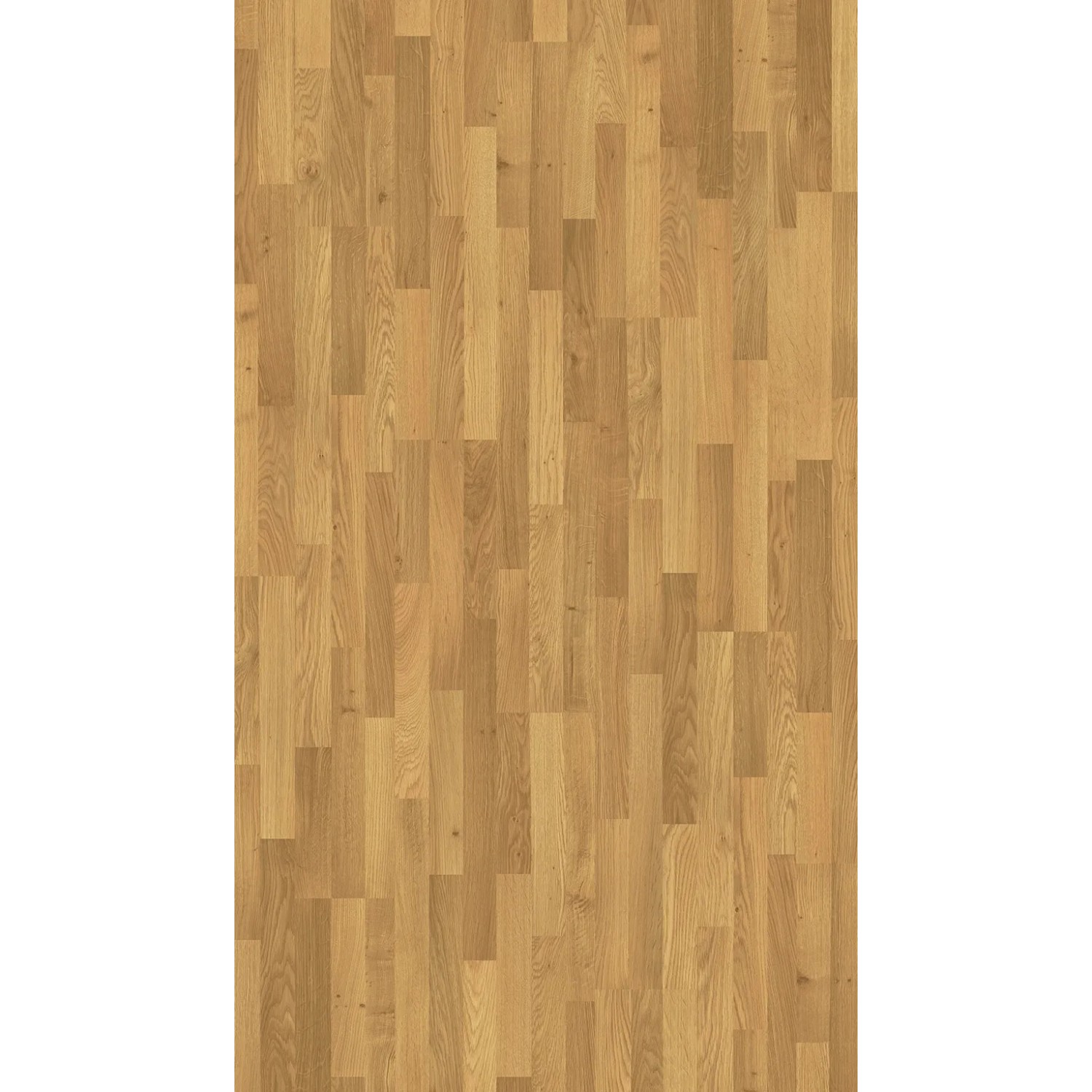 Parador Laminat Basic 400, 8mm, wasserfest, Eiche Natur. Laminatboden in Holzoptik.