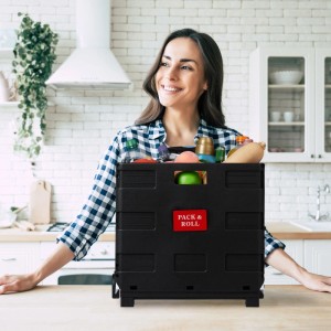 Relaxdays Einkaufstrolley Kunststoff Aluminium Schwarz Grau Klappbar 46 cm x 45 cm x 37,5 cm 2,7 kg