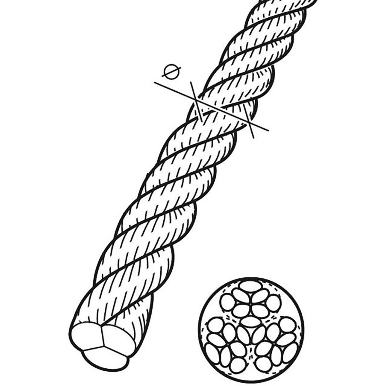 Conacord Handlauf-Seil, Polypropylen, Ø 30 mm, Natur, Detailaufnahme von Seil und Querschnitt.