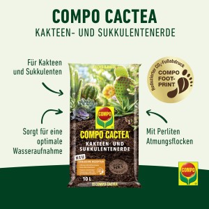 Compo Cactea Kakteenerde, 10 l Sack. Spezialerde für Kakteen und Sukkulenten.