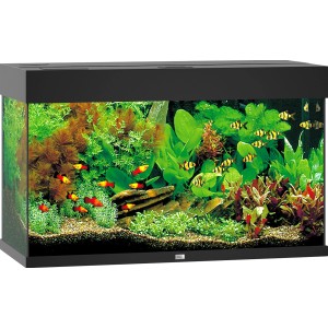 Schwarzes Juwel Aquarium Rio LED 125 l, bepflanzt und mit Fischen.