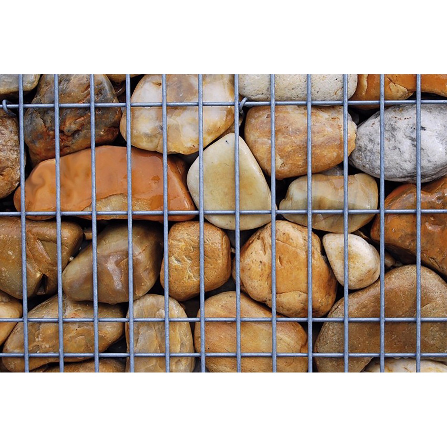 Scherf Fertig-Gabione Flusskiesel Bunt 50 cm x 50 cm x 50 cm