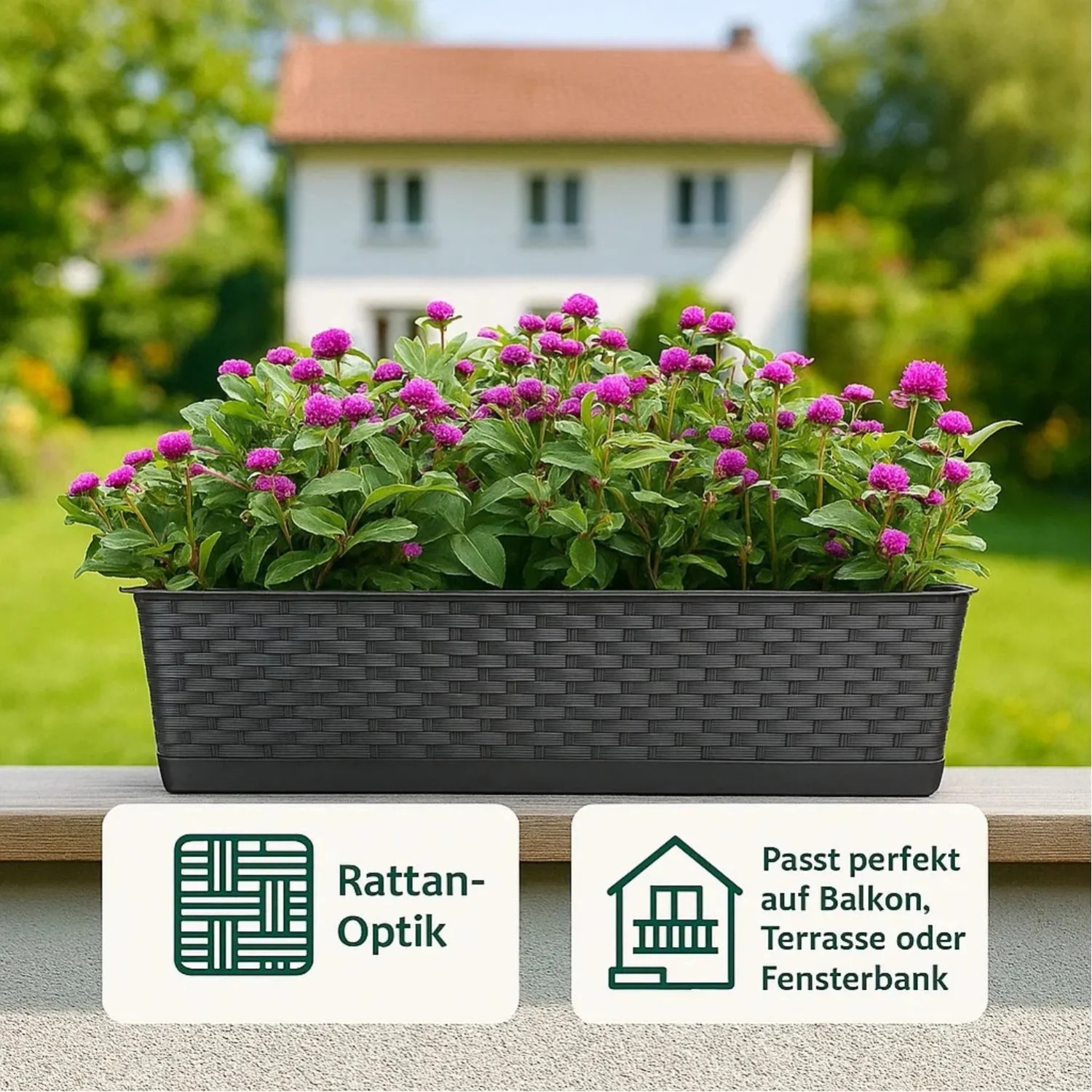 Anthrazitfarbener BigDean Balkonkasten, 80 cm, Rattan-Optik, mit Untersetzer, bepflanzt mit lila Blumen.