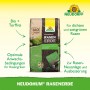 Neudorff NeudoHum Rasenerde 40 l Sack für Rasen-Neuanlage und -Reparatur.