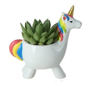 Fettpflanzen-Arrangement im Einhorn-Keramiktopf, Topf-Ø ca. 7 cm.