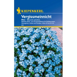 Kiepenkerl Vergissmeinnicht Blau: Blühende, blaue Blumensamen für Beet, Kübel und Steingarten.
