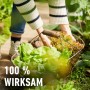 Gefüllter Erntekob mit Salat; zur Anwendung von Compo Schneckenkorn.