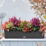 Lechuza Balconera Balkonkasten im Granit-Look, 79 cm, bepflanzt mit bunten Blumen.
