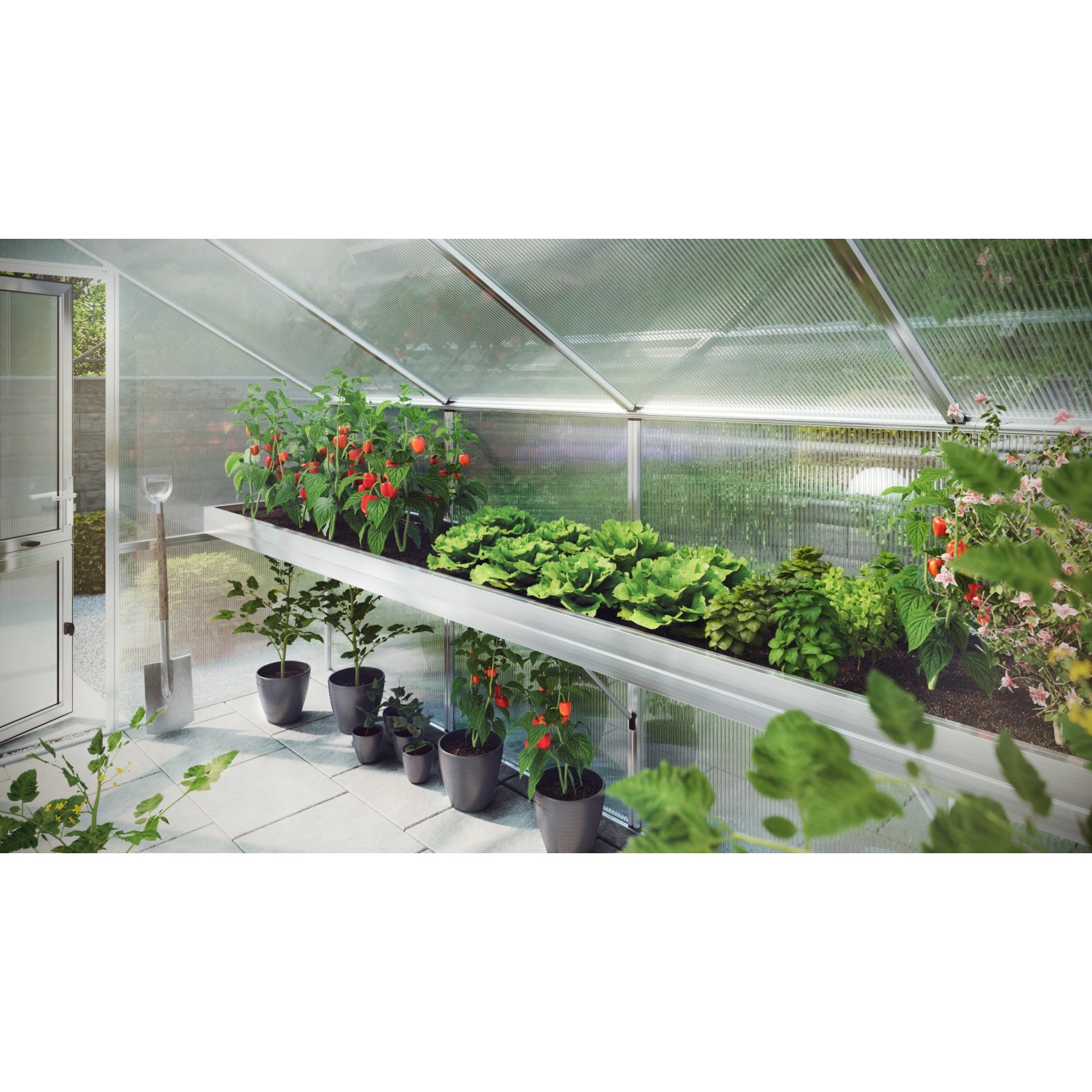 KGT Pflanzwanne Enzian IV im Gewächshaus mit Bepflanzung. Aluminium, ca. 63,5 cm tief.