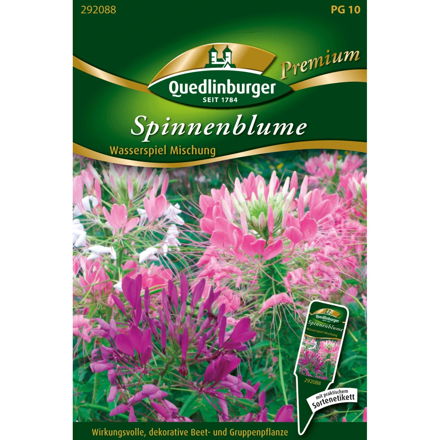 Quedlinburger Spinnenblume ''Wasserspiel Mischung'' günstig online kaufen