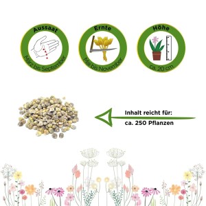 Samen des Spinat Matador von Deine Gartenwelt, geeignet für ca. 250 Pflanzen.