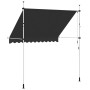 vidaXL Einziehbare Markise Handbetrieben 250 cm Anthrazit 143689_5