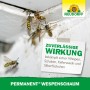 Wespen am Nest bekämpfen mit Neudorff Permanent Wespenschaum. Effektiver Wespenspray zur Schädlingsbekämpfung.