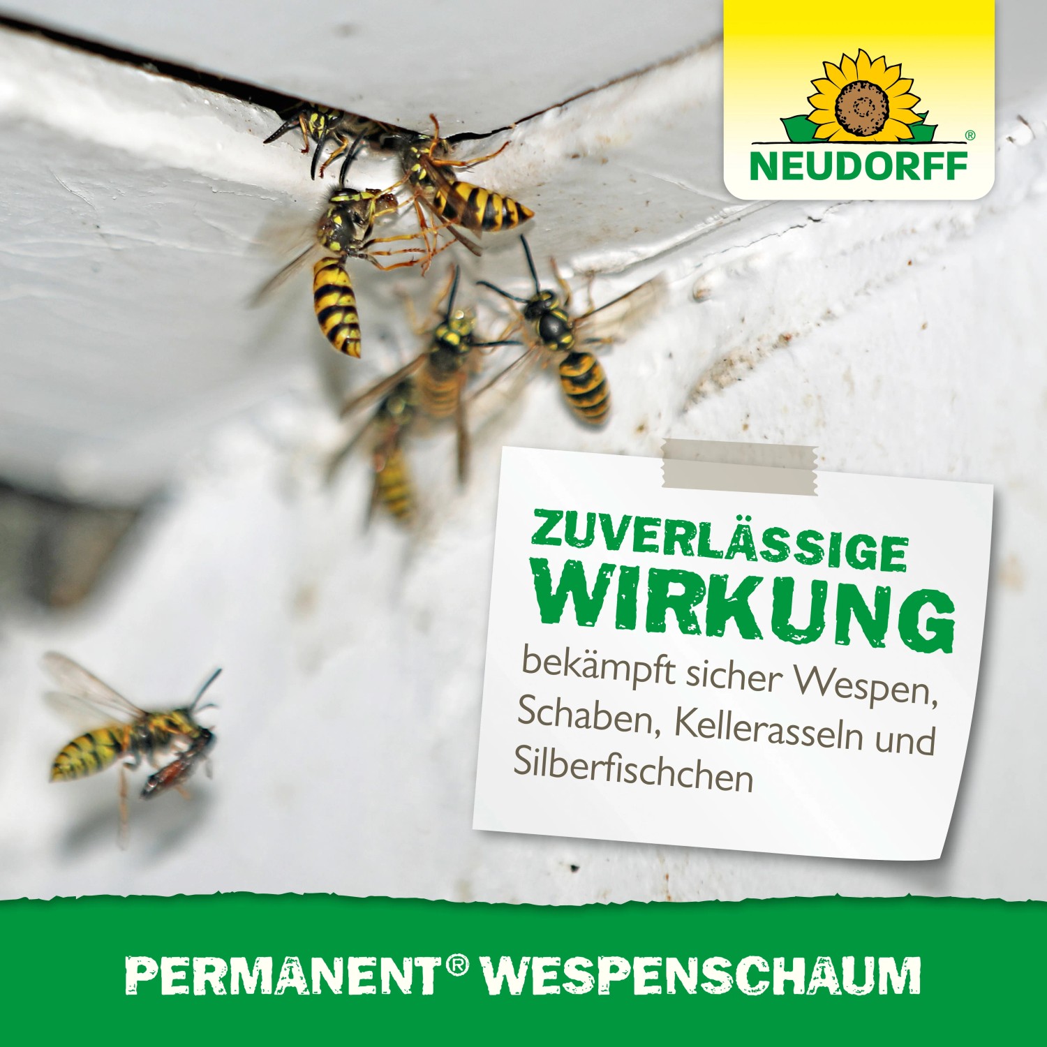 Wespen am Nest bekämpfen mit Neudorff Permanent Wespenschaum. Effektiver Wespenspray zur Schädlingsbekämpfung.