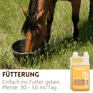 Braunes Pferd frisst aus Eimer auf Wiese. Flasche Supravit Reiskeimöl Liquid Pferdefutter daneben.