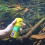 Gelbe Dose Jbl Pronovo Insect Fischfutter-Sticks im Aquarium mit Fischen.
