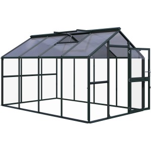 KGT Gewächshaus Novum IV, tannengrün, 11,14 m², mit Dachfenster und Tür. Ideal für Pflanzen, Kräuter und Gemüse.