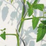 Bellissa Tomatenspirale 150cm aus Zink-Rip als Rankhilfe für Tomatenpflanzen.